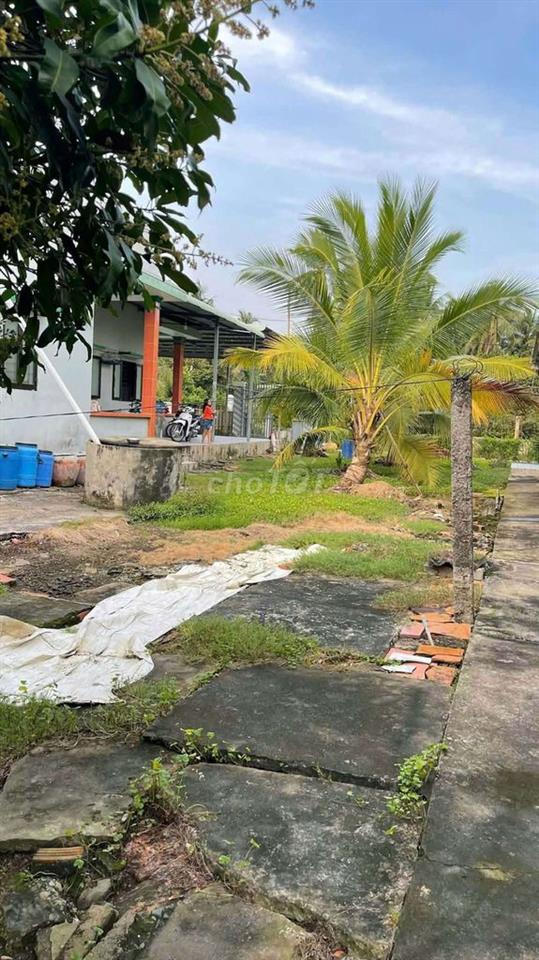 cần bán gấp đất