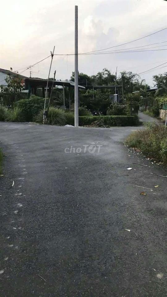 cần bán gấp đất