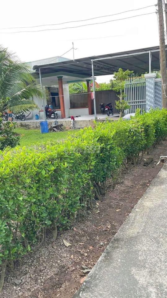 cần bán gấp đất