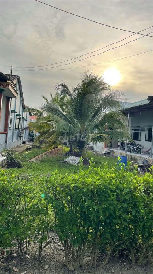 cần bán gấp đất