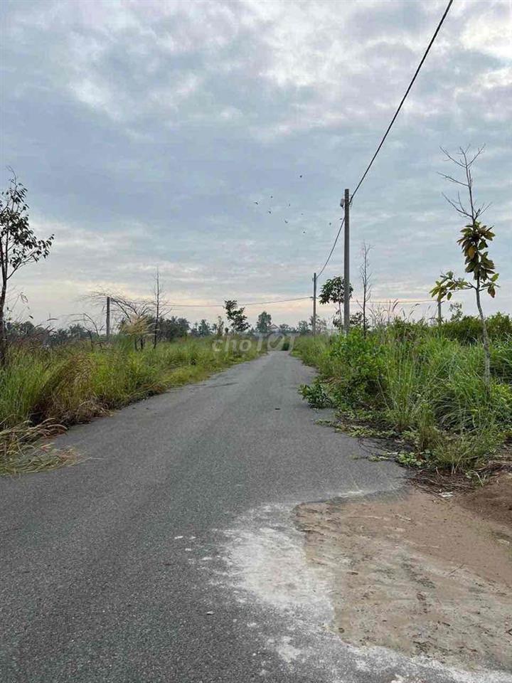 Cho thuê đất