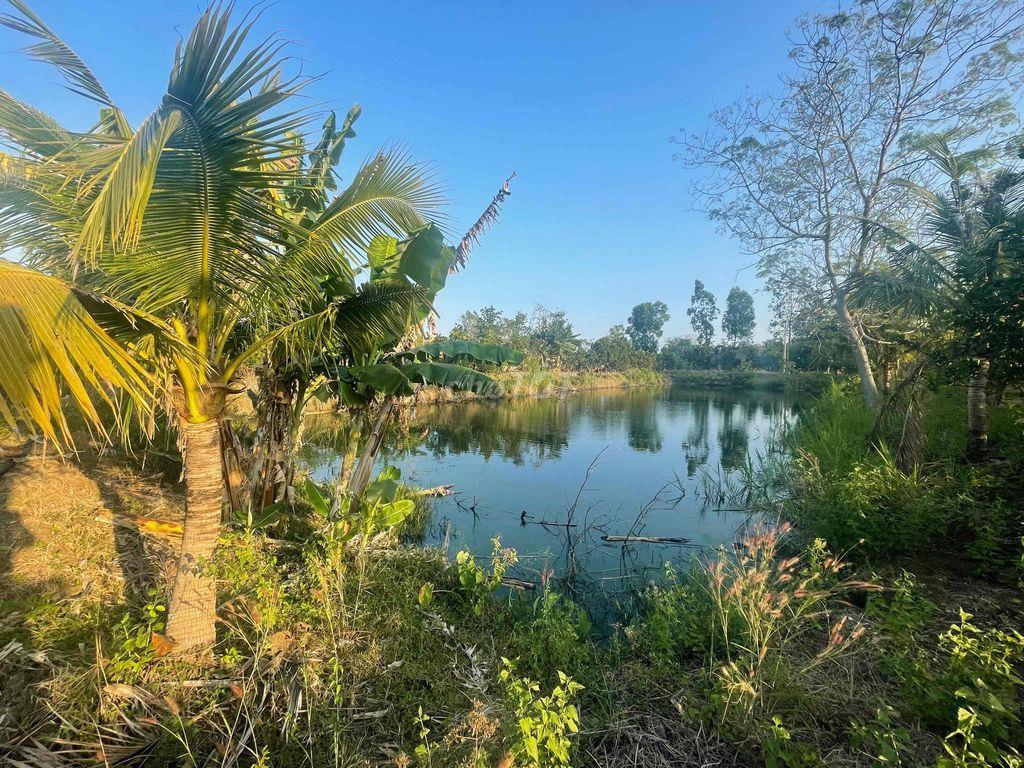 bán 20.000 m2 đất ở Xuyên Mộc, 145m mặt tiền