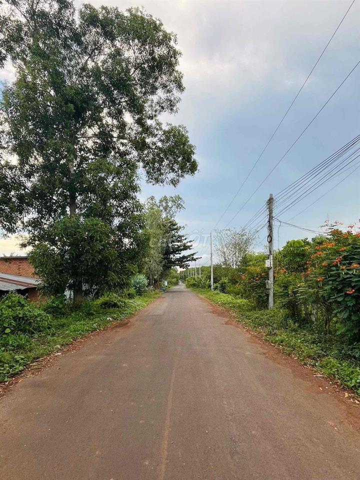 bán 20.000 m2 đất ở Xuyên Mộc, 145m mặt tiền