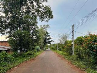 bán 20.000 m2 đất ở Xuyên Mộc, 145m mặt tiền