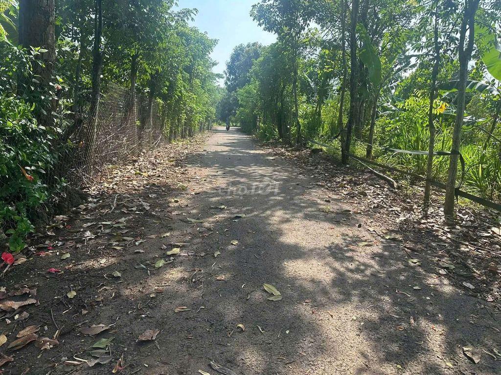 Bán 2000m2 Đất Phường Ngãi Giao, Tp.HCM