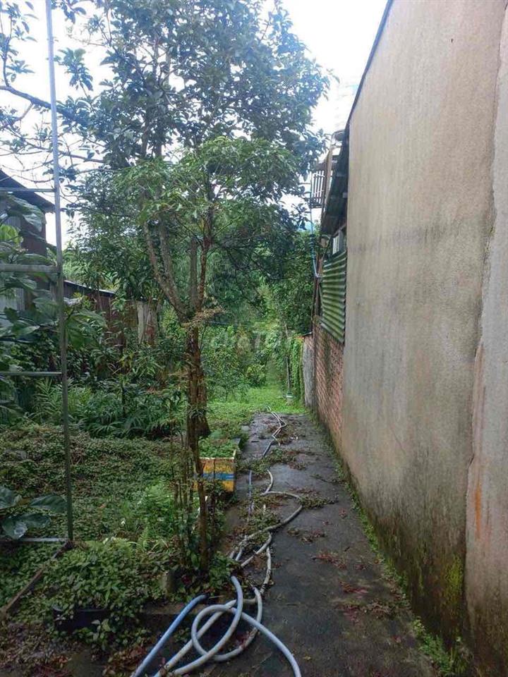 bán nhà mătj tiền 3tỷ3 ngang 5 dài 85 xã lộc châu tp bảo lộc