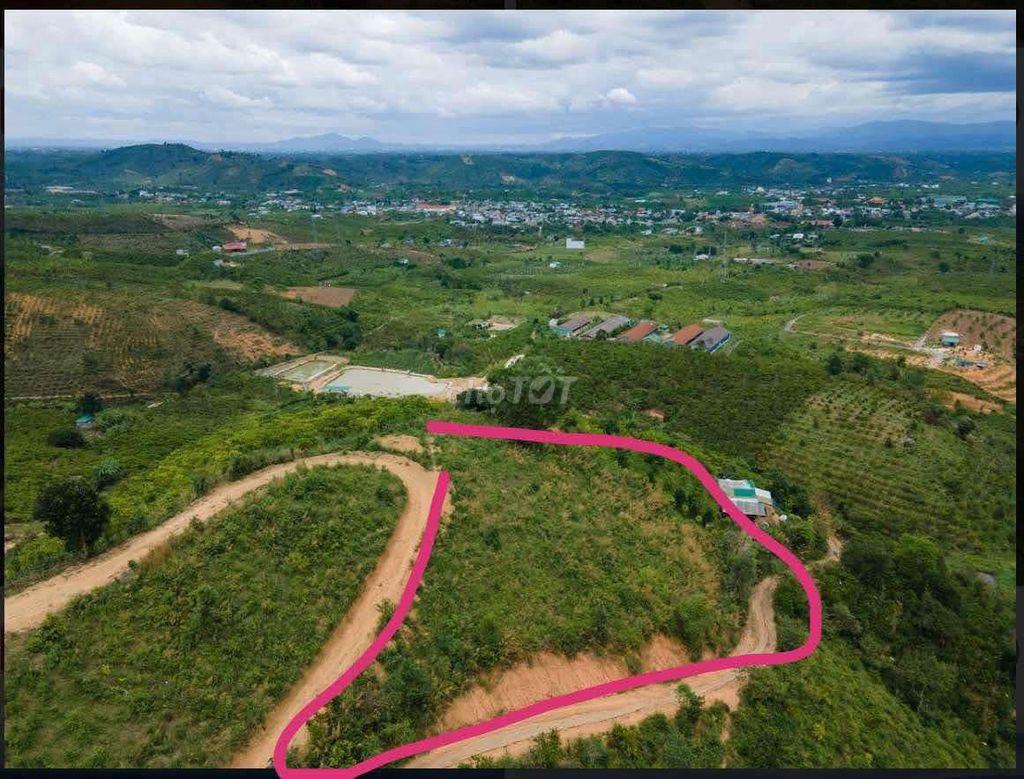 Đất săn mây Lộc Thành