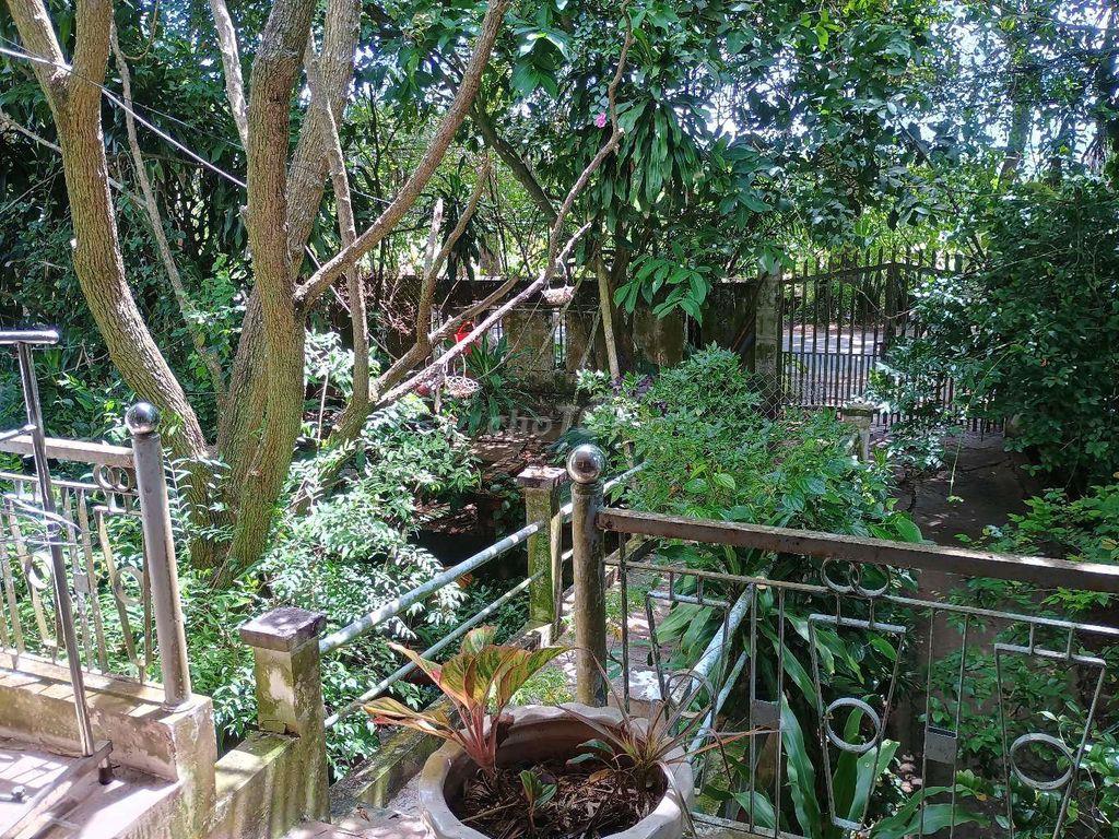 Bán nhà và đất tuyến dân cư Long Phú