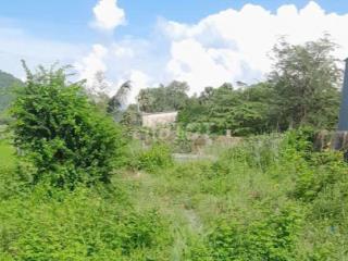 Tôi chủ đất muốn bán gấp