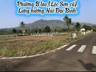 Đất biệt thự dưới núi Đại Bình