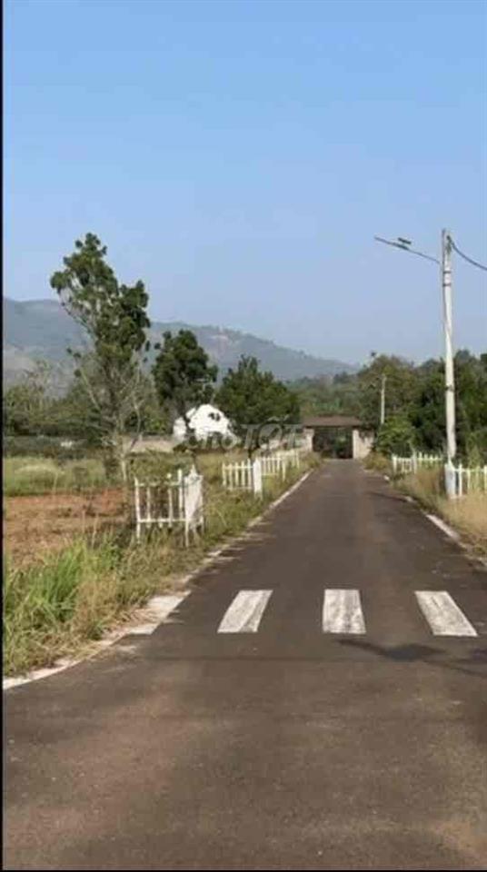 Đất biệt thự dưới núi Đại Bình