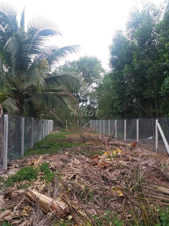 📣 BÁN ĐẤT THANH ĐIỀN – NGANG 7 M, ĐƯỜNG NHỰA XE 8 TẤN