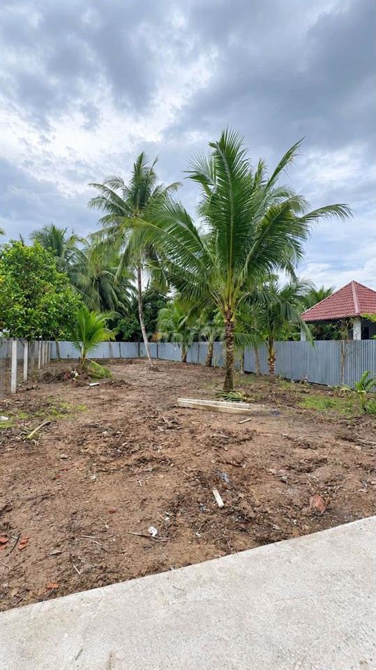 Đất nền 600m2 (sẵn 50m2 thổ cư)