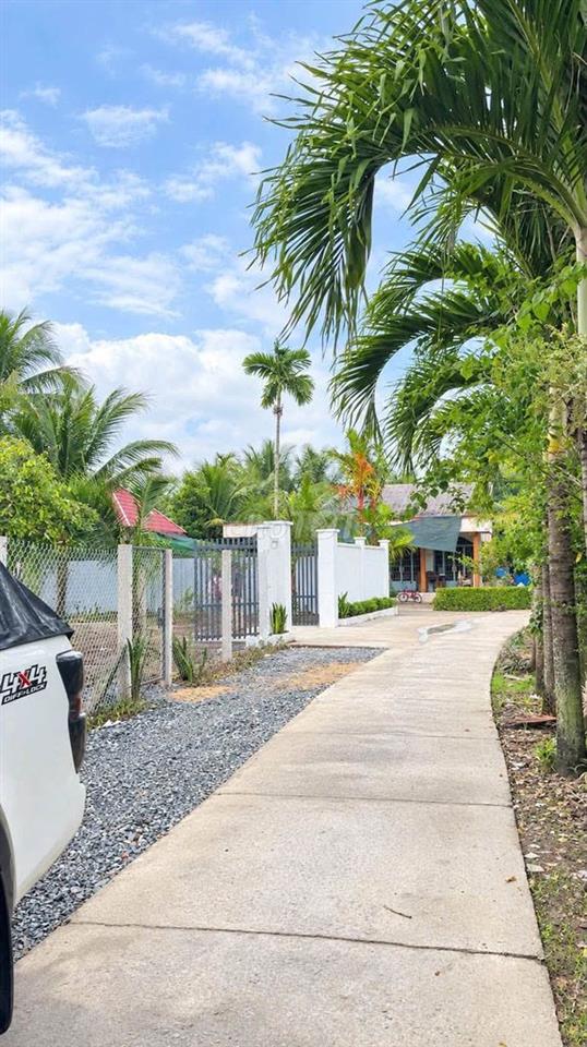 Đất nền 600m2 (sẵn 50m2 thổ cư)