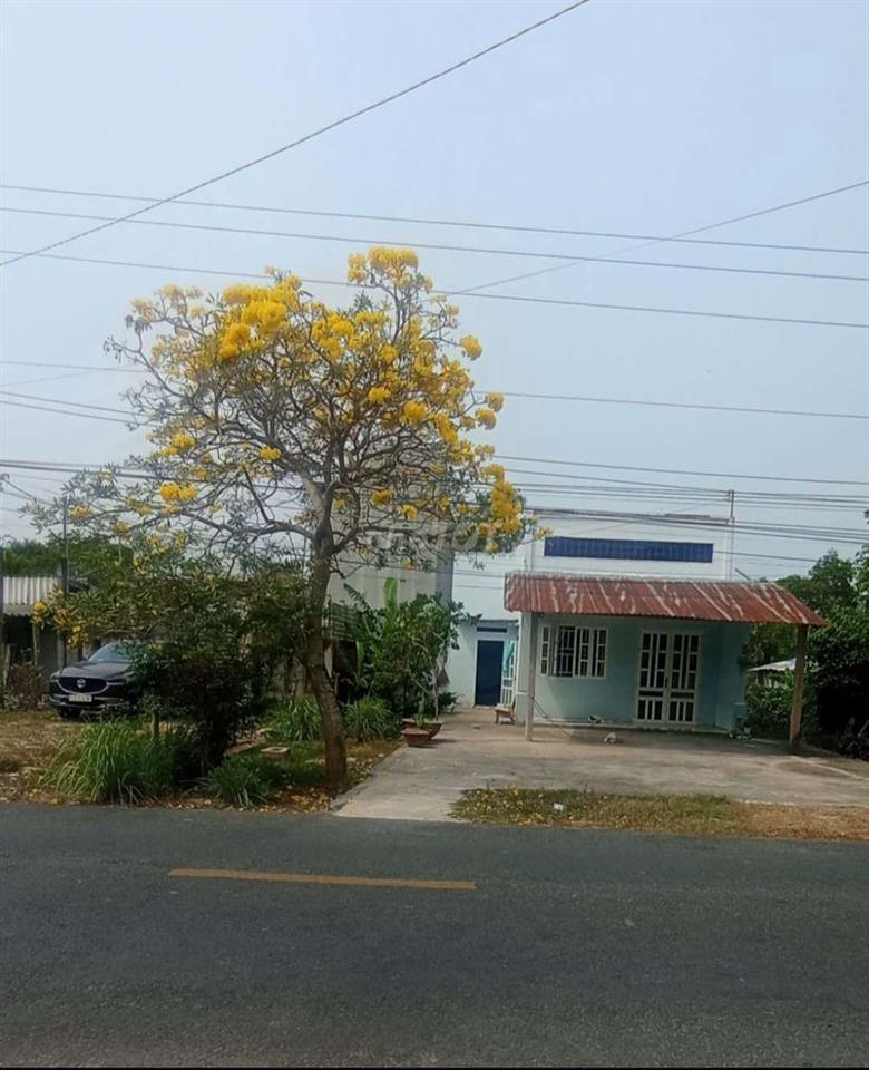 bán nhà đất.