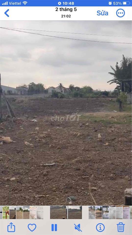 Cần bán 730m2 full đát ở