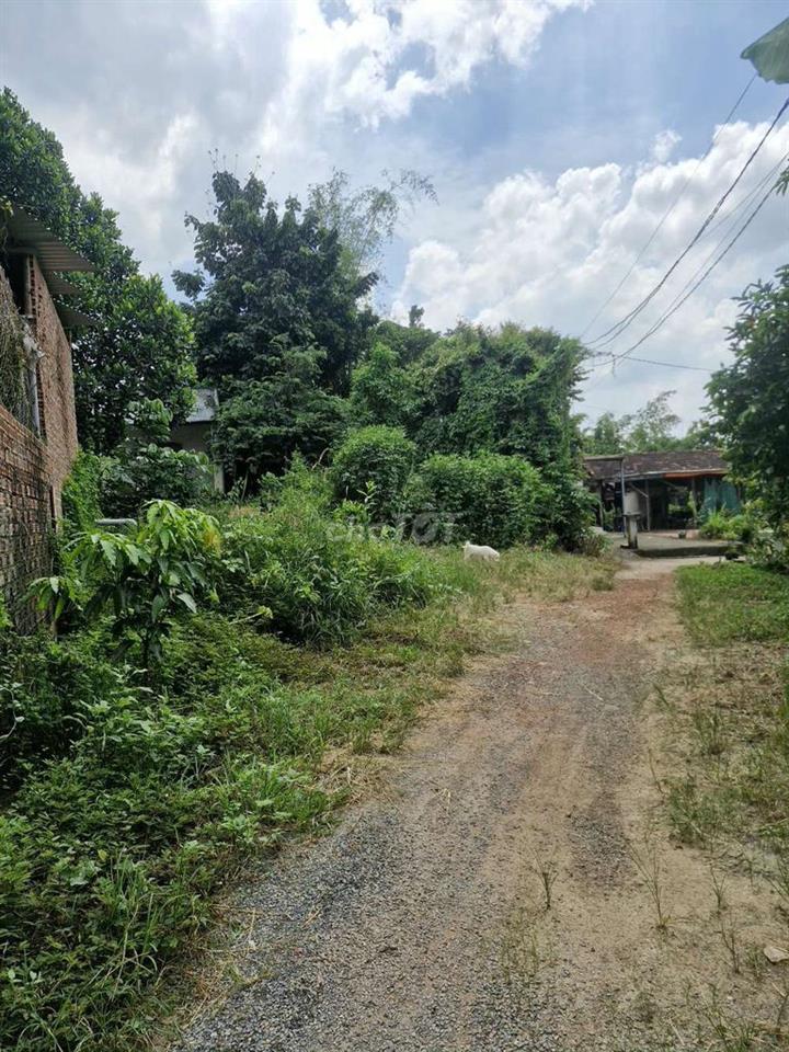 Mình bán 500m2 trong sổ đất này