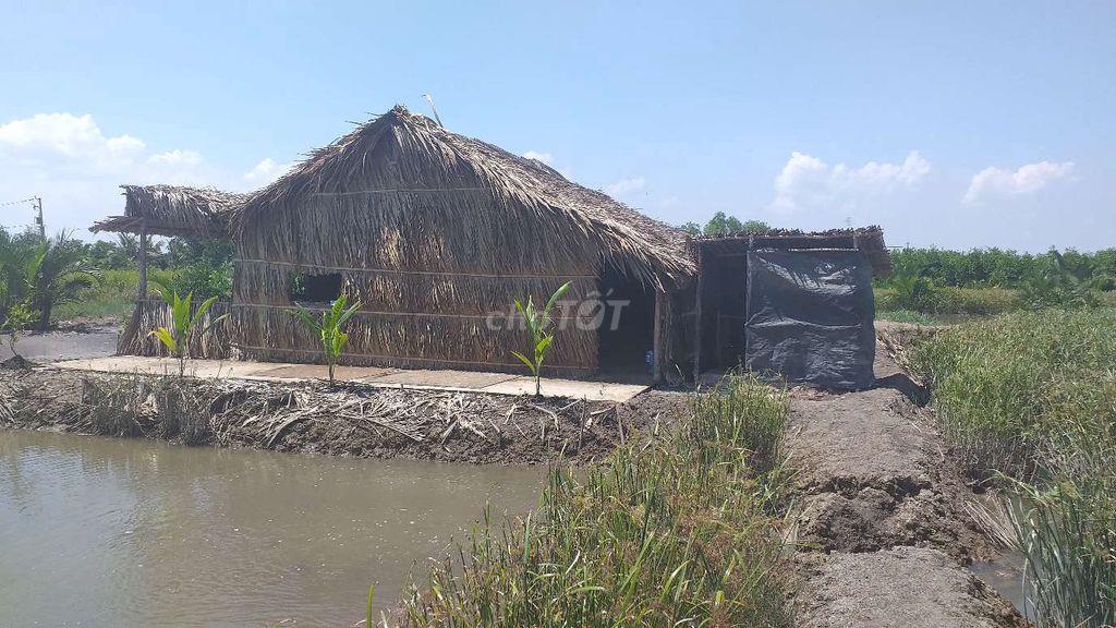 Bán 2.000m2 đất NTTS Bình Khánh, Cần Giờ, sổ hồng riêng 2066