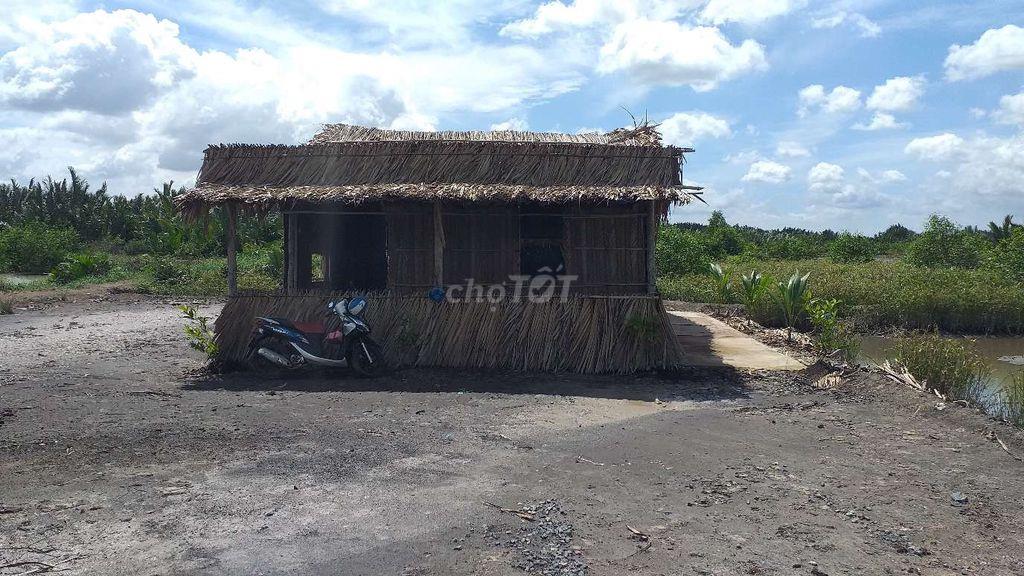 Bán 2.000m2 đất NTTS Bình Khánh, Cần Giờ, sổ hồng riêng 2066
