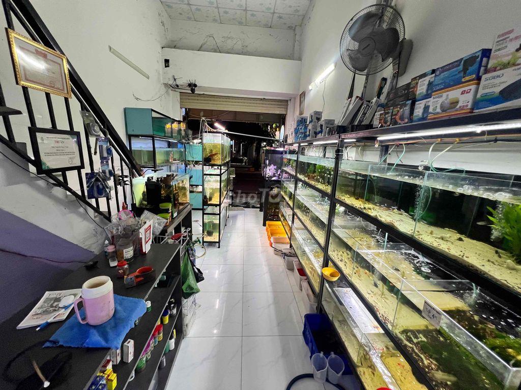 📣 SANG TIỆM CÁ CẢNH – VÀO LÀM NGAY 🐠
