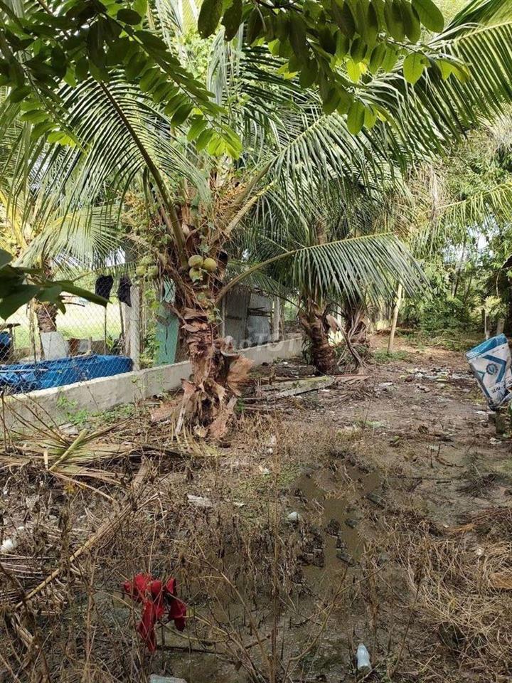 chính chủ cần bán lô đất 5×68 ×25m²tc,Gần KCN Chà Là . DƯƠNG MINHCHÂU