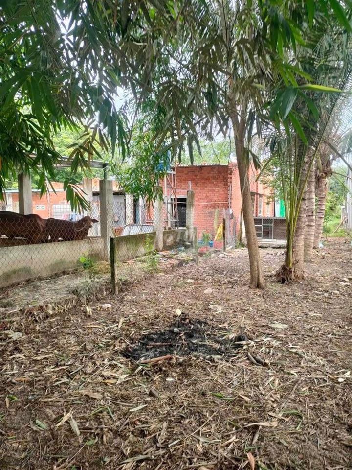 chính chủ cần bán lô đất 5×68 ×25m²tc,Gần KCN Chà Là . DƯƠNG MINHCHÂU