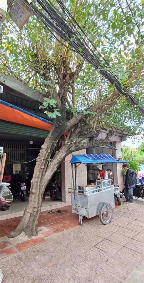 Mặt bằng 200 m2 chợ Thủ Đức.