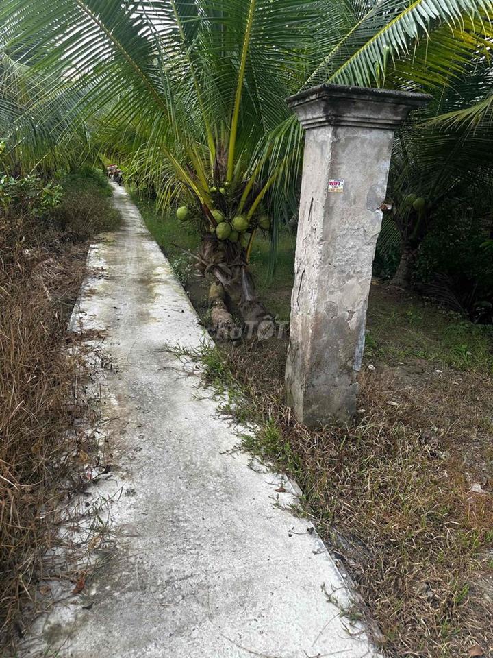 Đất vườn giá rẻ Quới Sơn