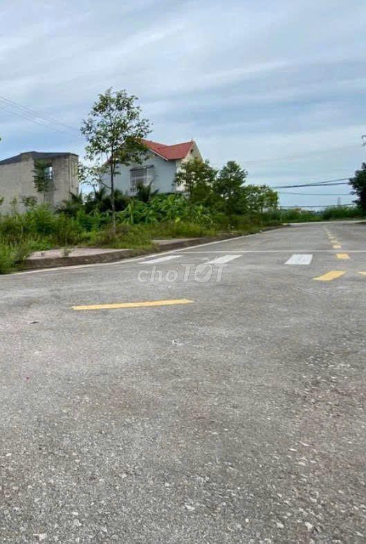 BÁN ĐẤT BIỆT THỰ ECOPARK TÂN PHONG – 320M²