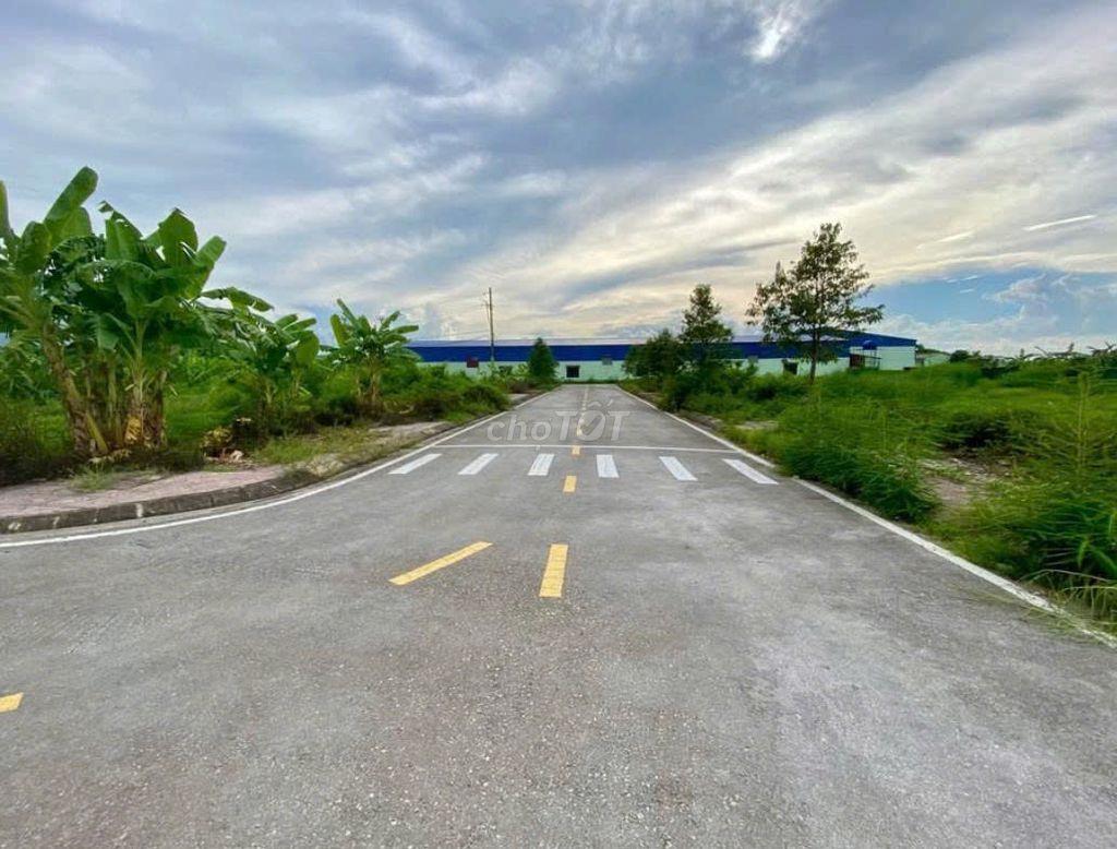 BÁN ĐẤT BIỆT THỰ ECOPARK TÂN PHONG – 320M²
