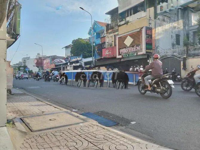 Cho Thuê Nhà Mặt Tiền Tại Nguyễn Kiệm, Phường 9, Quận Phú Nhuận