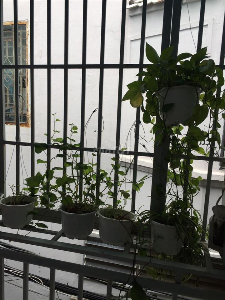 bán nhà nhỏ xinh sạch sẽ
