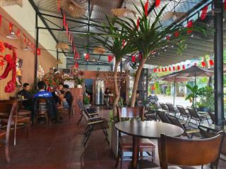 Bán lô góc 2mt trần văn trà & mẹ thứ  hoà xuân đang có dòng tiền cho thuê quán cafe 8 triệu/tháng