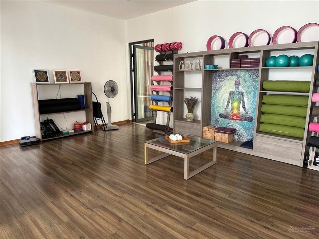 Bán biệt thự 3 tầng đơn lập khu euro village ven sông hàn, siêu phẩm sống đẳng cấp tại đà nẵng