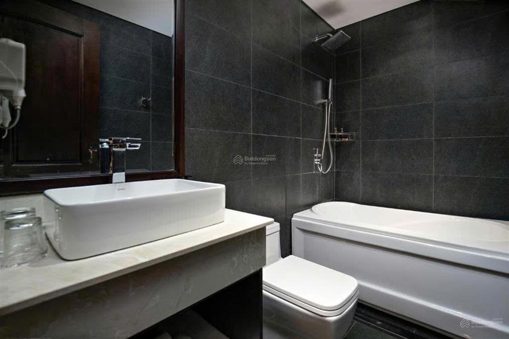 Chuyển nhượng tòa khách sạn 12 tầng phố đi bộ lát đá trần bạch đằng (hồ bơi view cực đẹp)