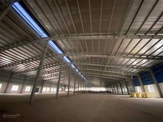 Nhà xưởng kcn hải dương (cũ) dt 3200m² giá chỉ 65k/m², pccc tự động, sản xuất nhiều ngành nghề