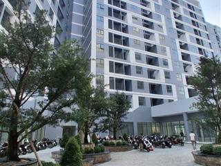 Cho thuê căn hộ c2 phú mỹ 1pn 1wc (cho thuê ngắn hạn hoặc dài hạn