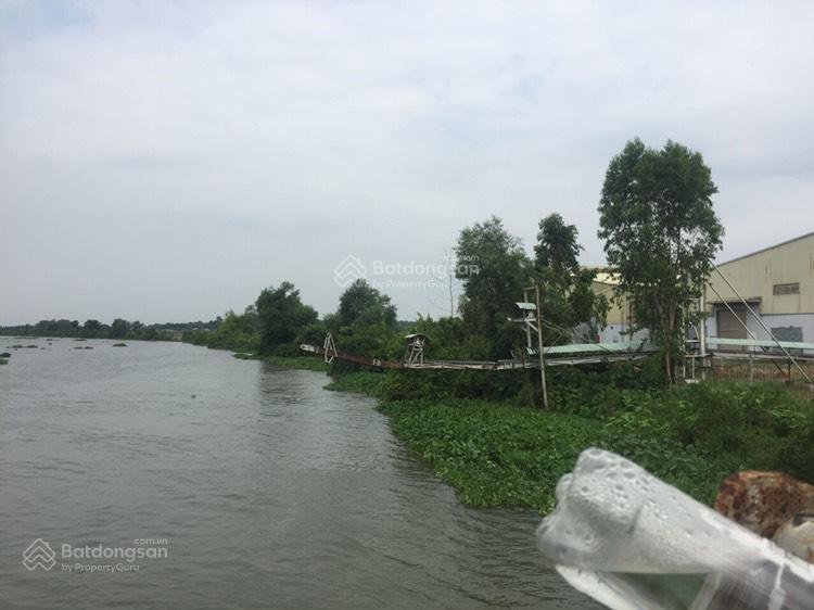 Bán đất xây dựng nhà xưởng  gò dầu, tây ninh  36.176m²