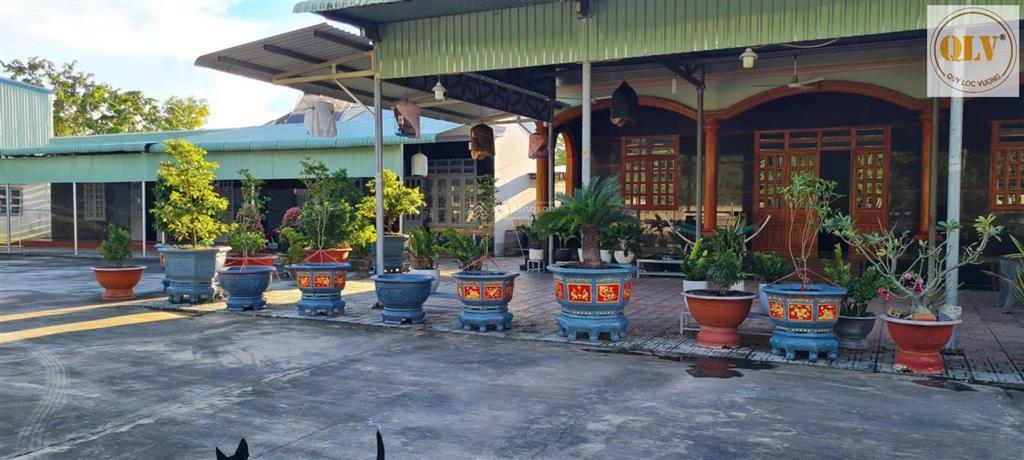 Bán nhà xưởng đt 749a huyện bàu bàng, tỉnh bình dương 1.600m²