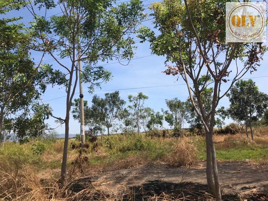 Bán đất kcn cái mép, bà rịa  vũng tàu 30.000m²