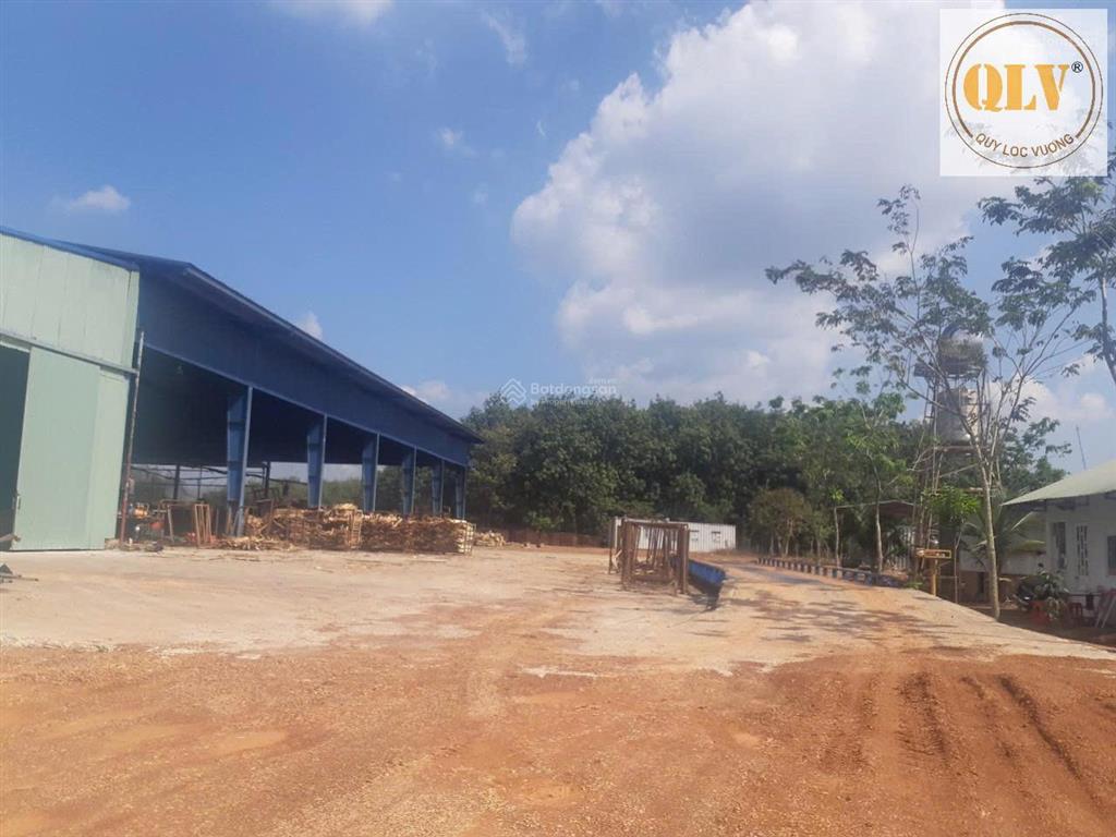 Cho thuê nhà xưởng đồng phú, bình phước dt 7597m²