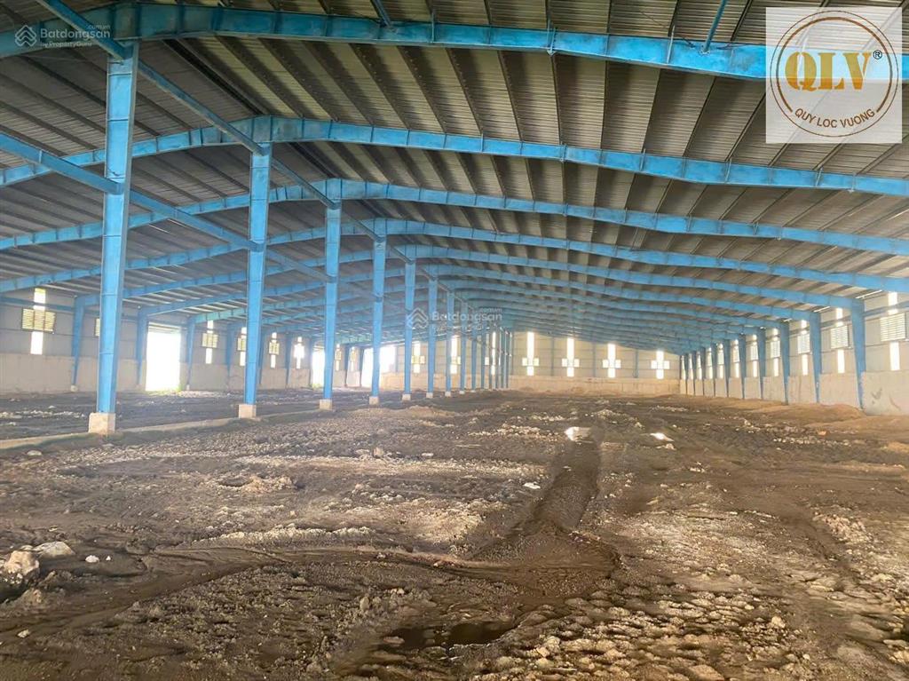 Cho thuê đất phú mỹ, bà rịa vũng tàu 146786m2