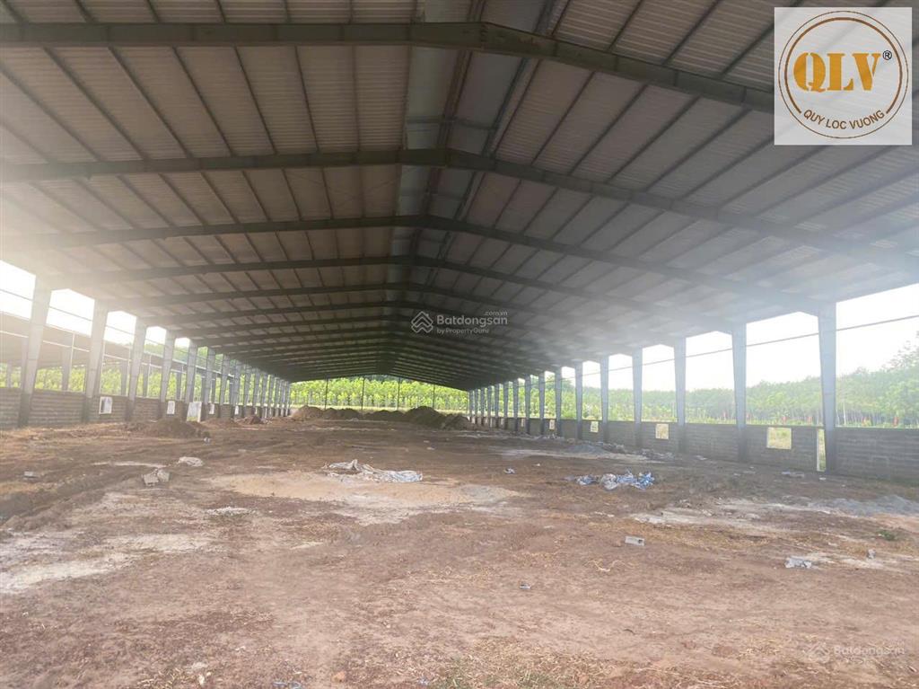 Bán nhà xưởng an thái, phú giáo, bình dương 31.952m²