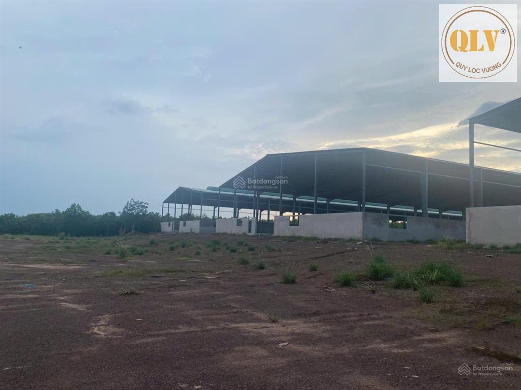 Bán nhà xưởng an thái, phú giáo, bình dương 31.952m²