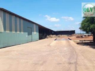 Cho thuê nhà xưởng 14.000m² tân phú, huyện đồng phú, bình phước