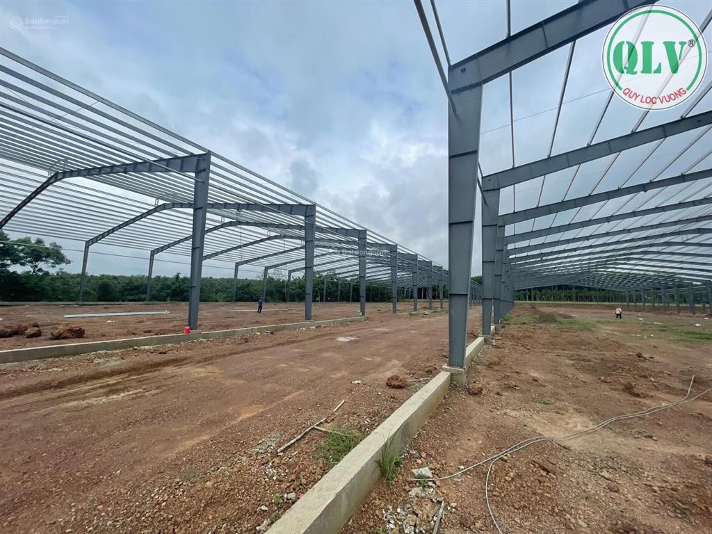 Cho thuê nhà xưởng mới xây dựng diện tích 7.350m2 ở phước hòa, phú giáo, bình dương