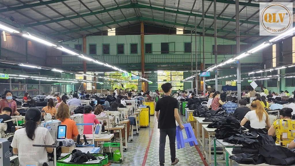 Bán nhà xưởng may mặc, cai lậy, tiền giang, 6.993m²