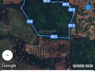 Chính chủ cần bán gấp đất cao su 15.840m tại túc trưng, đồng nai