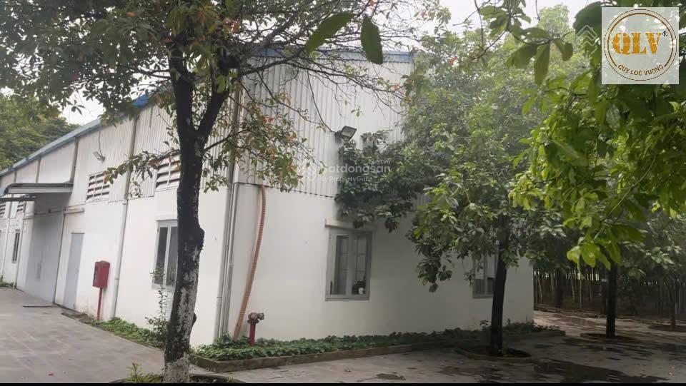 Bán nhà xưởng tại bến cát, bình dương 10.057 m²