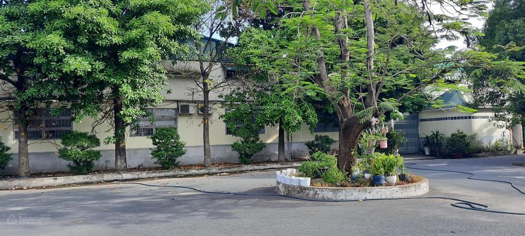 Nhà xưởng cho thuê xã tạn thạnh đông cu chi dt 2000m giá 45 triêu/tháng  0908 561 ***